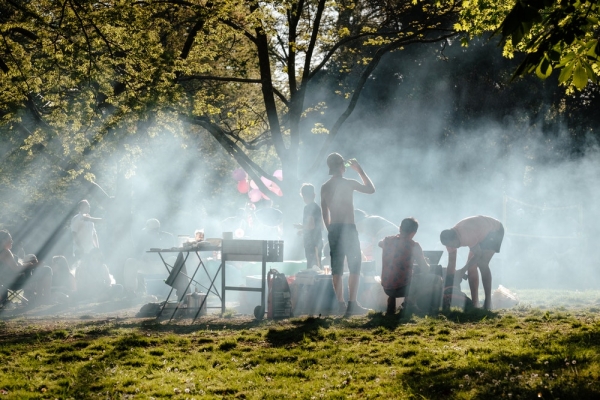 people barbecuing under green tree