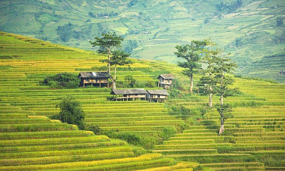 The Village, Agriculture, Canyons